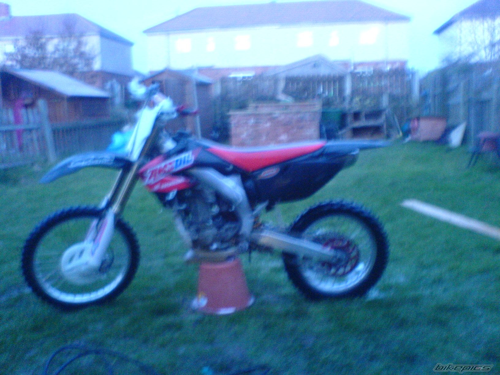 Photo 1561456