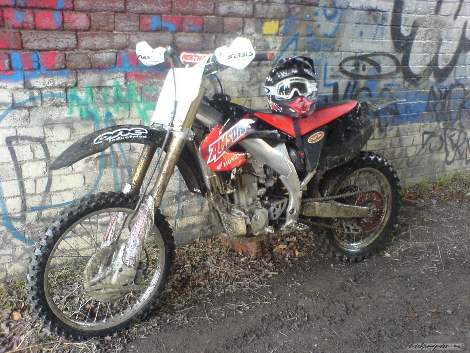 Photo 1561460