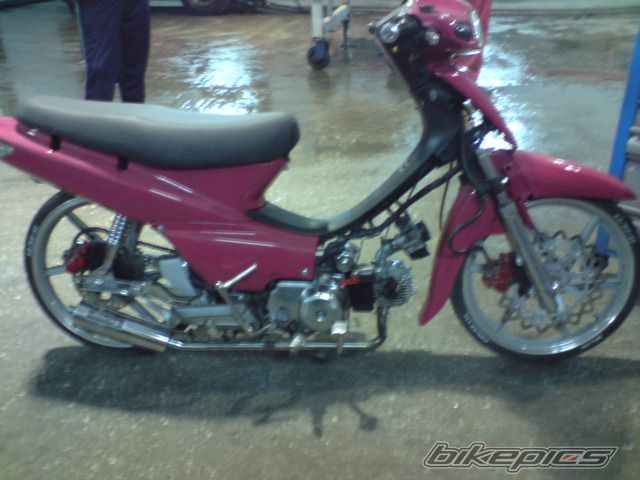 Photo 1561493