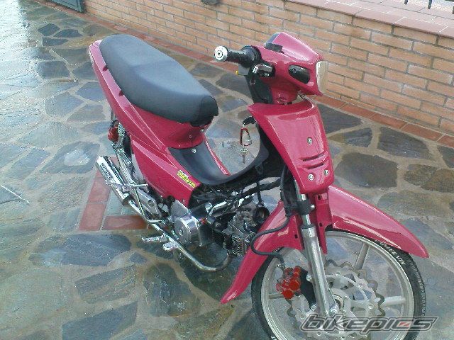 Photo 1561494