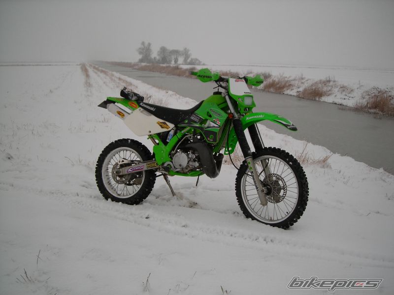 Photo 1561498