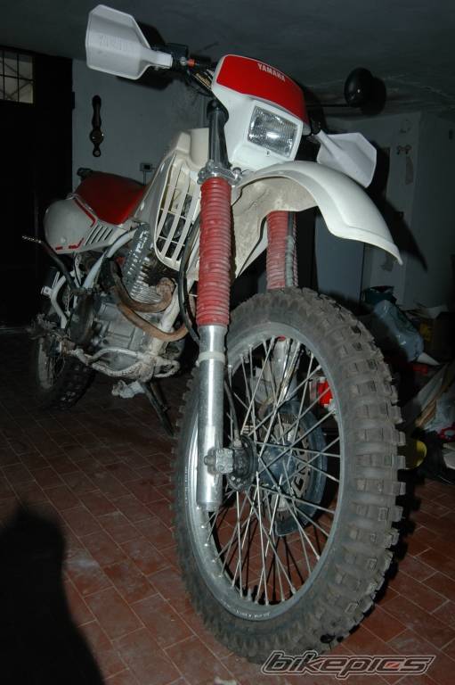 Photo 156151