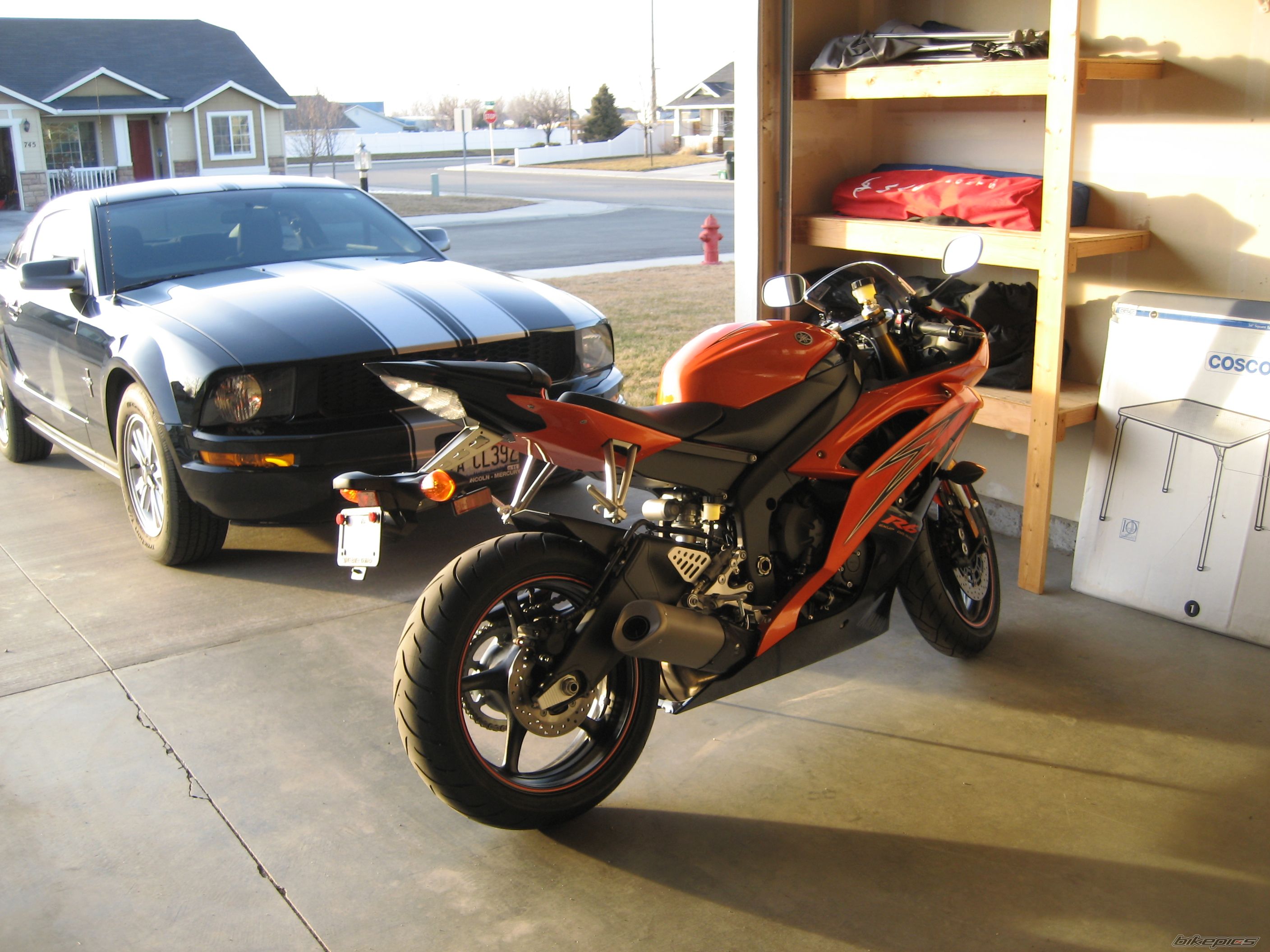 Photo 1561521