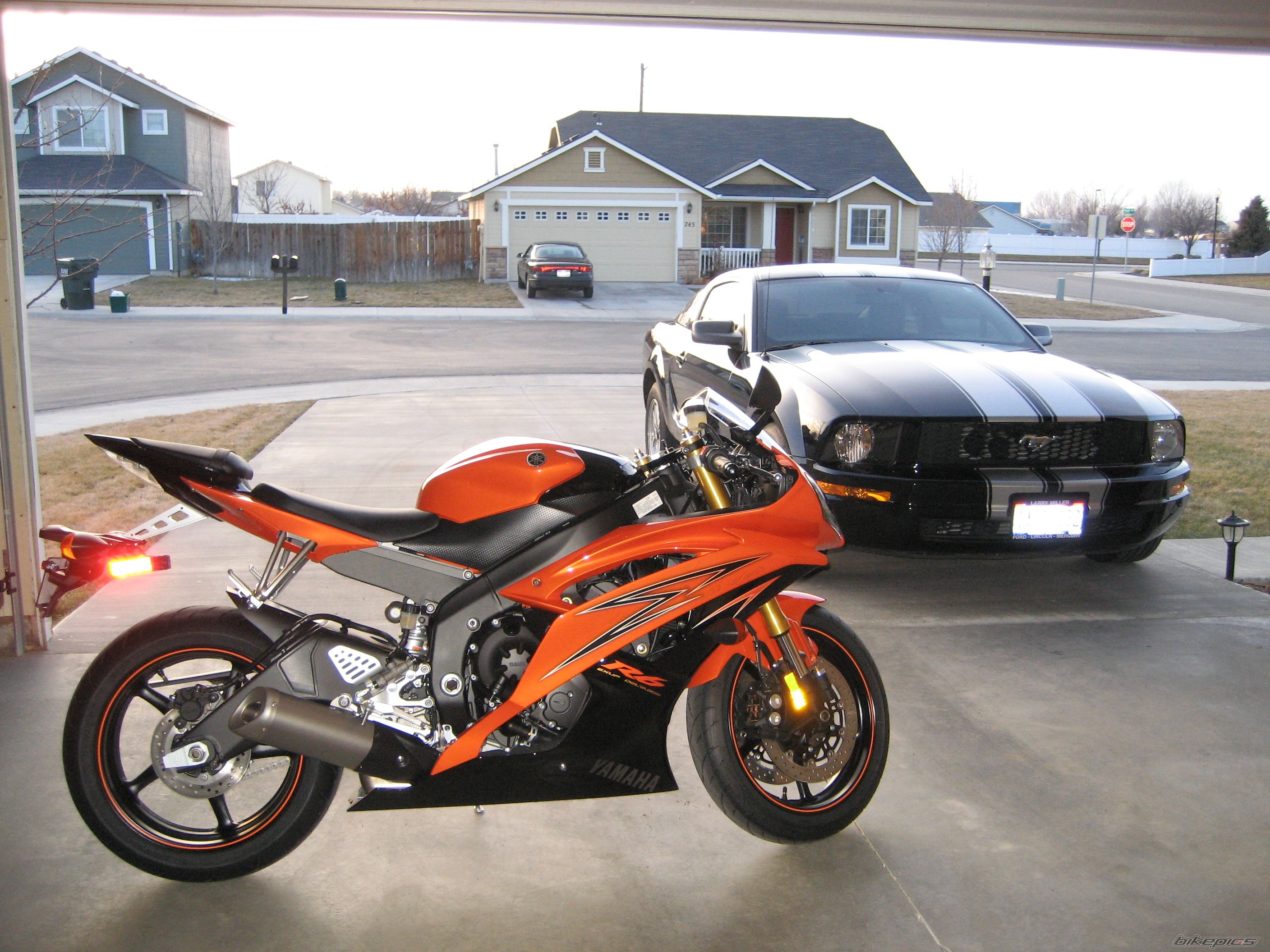 Photo 1561544