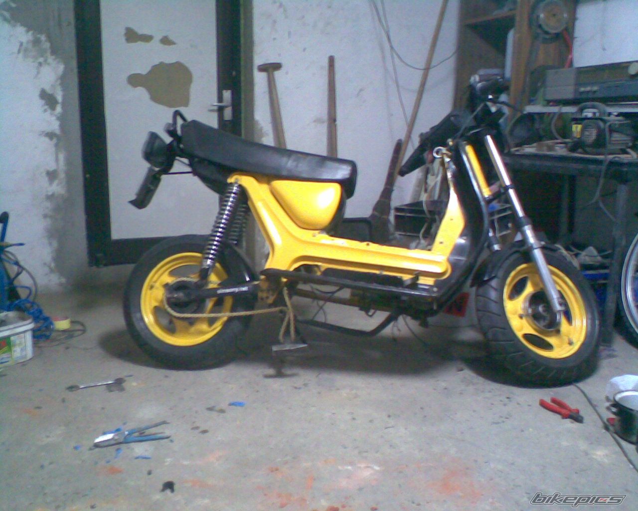 Photo 1561582