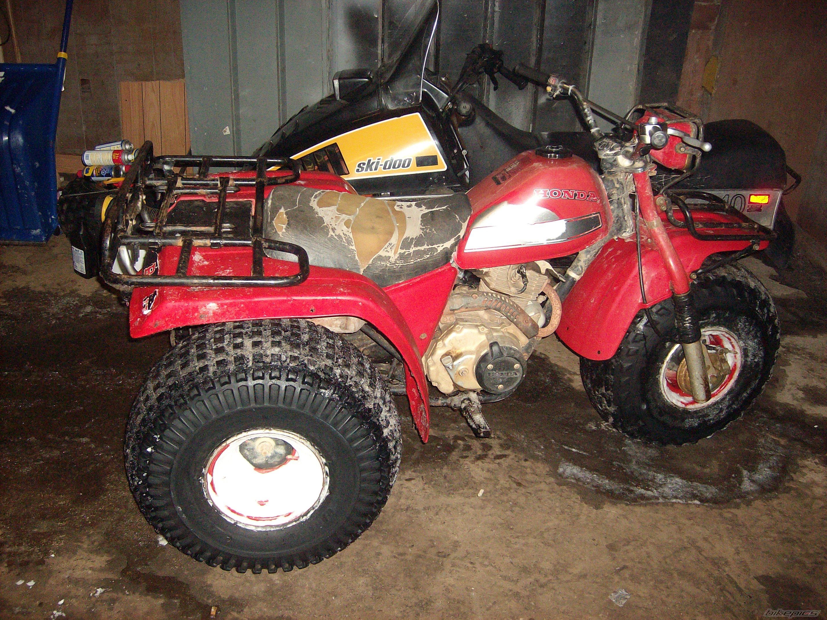 Photo 1561593