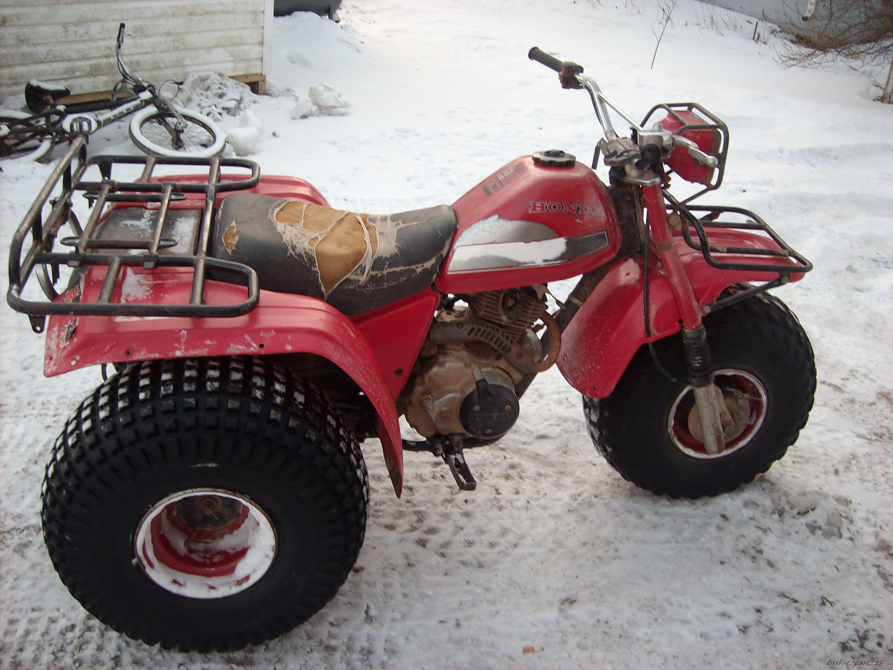 Photo 1561595
