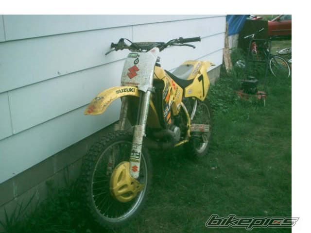 Photo 1561599