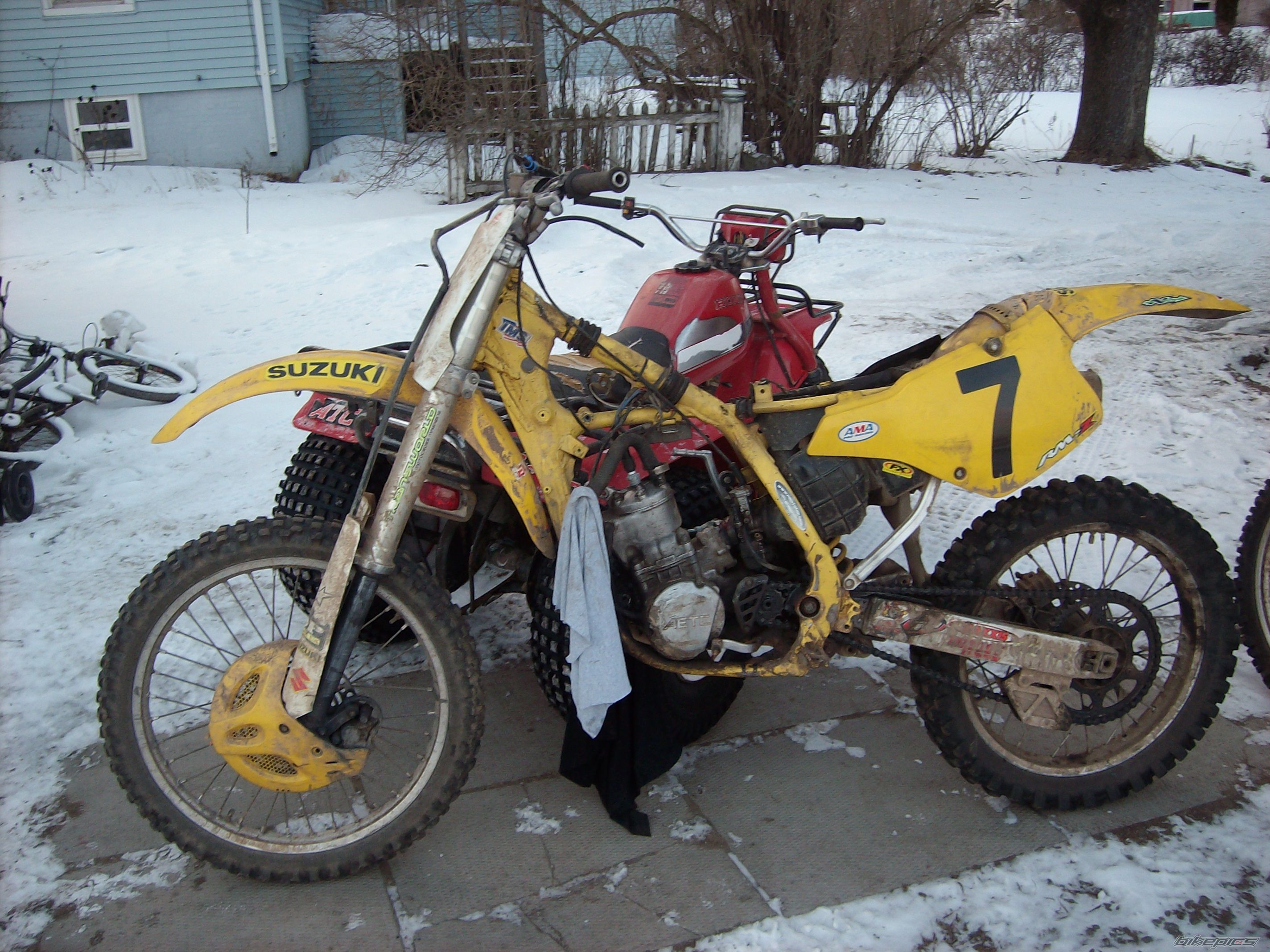 Photo 1561601