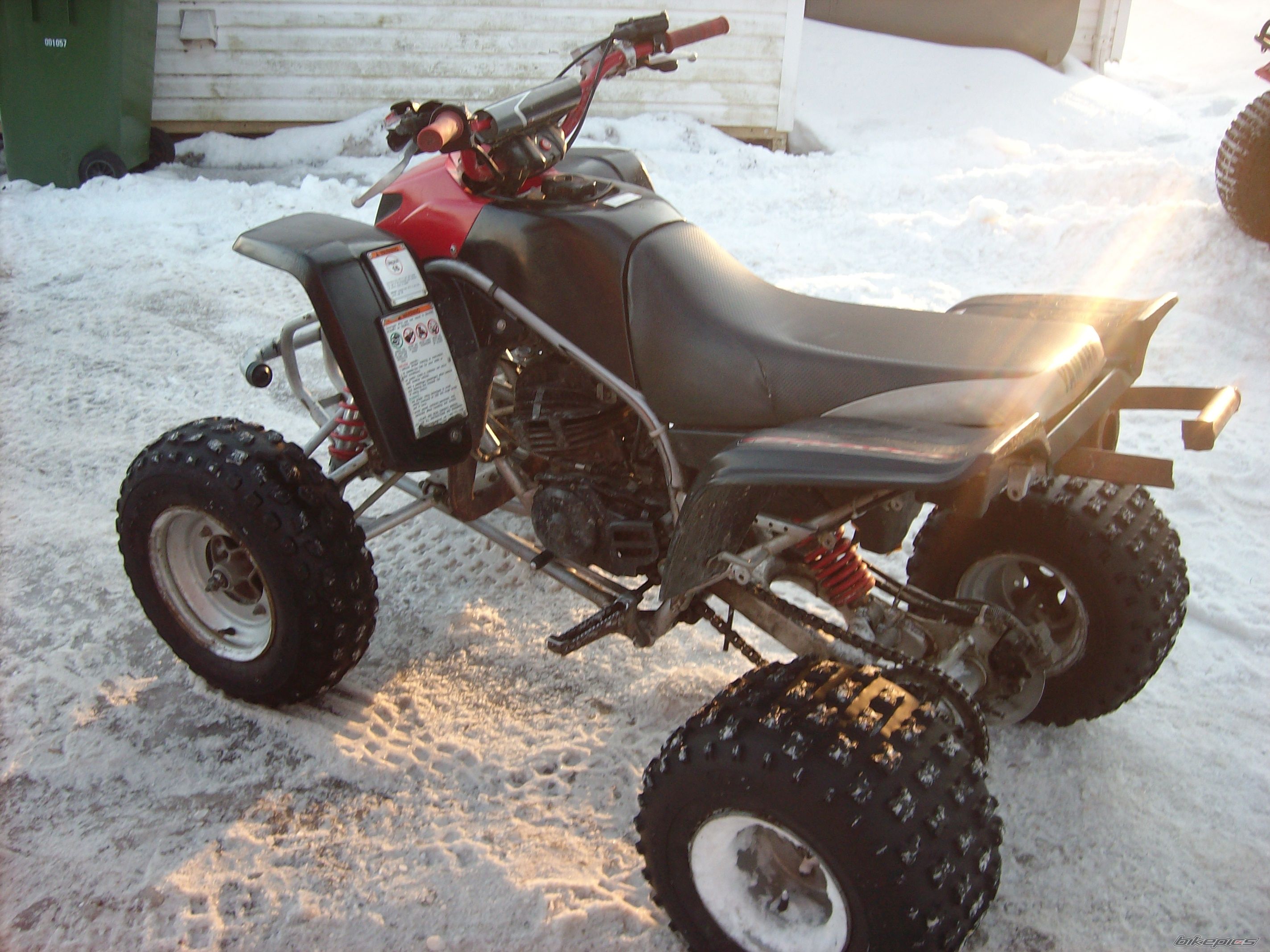 Photo 1561610