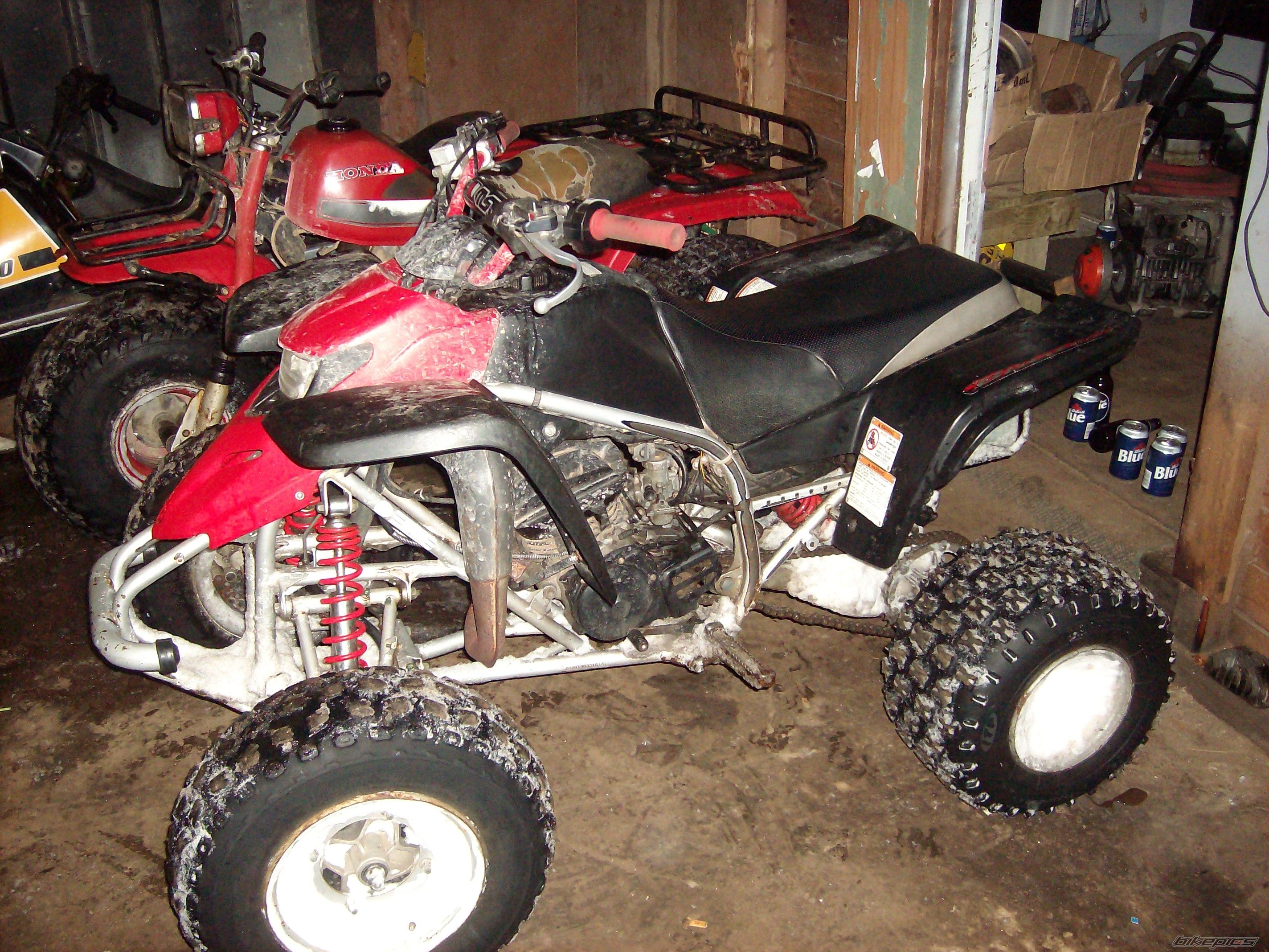Photo 1561613