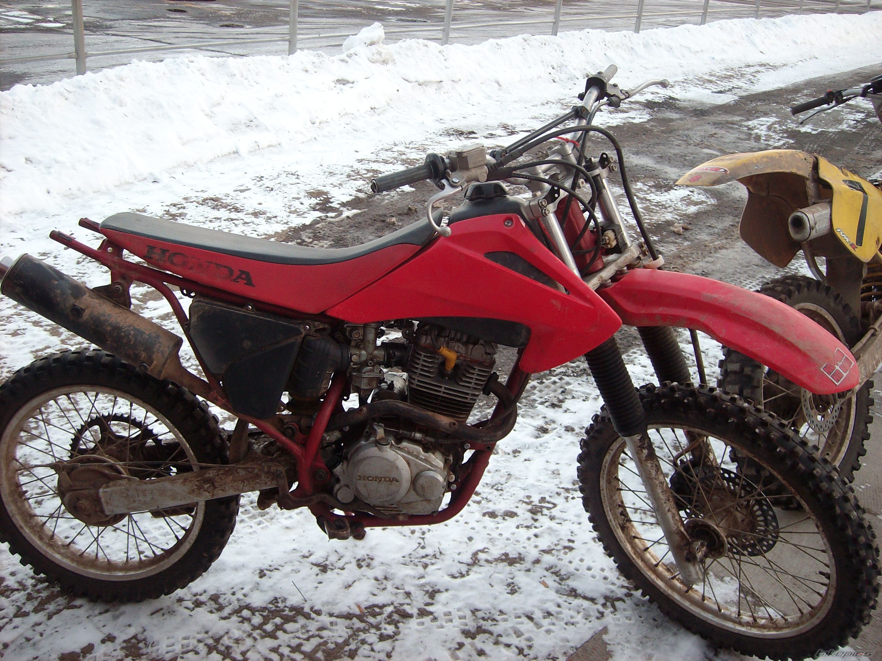Photo 1561615