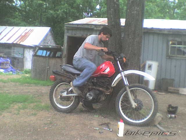 Photo 1561621
