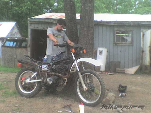 Photo 1561622