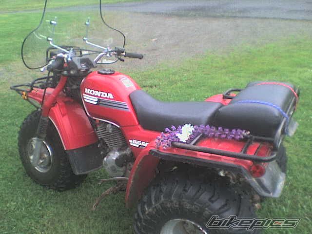 Photo 1561626