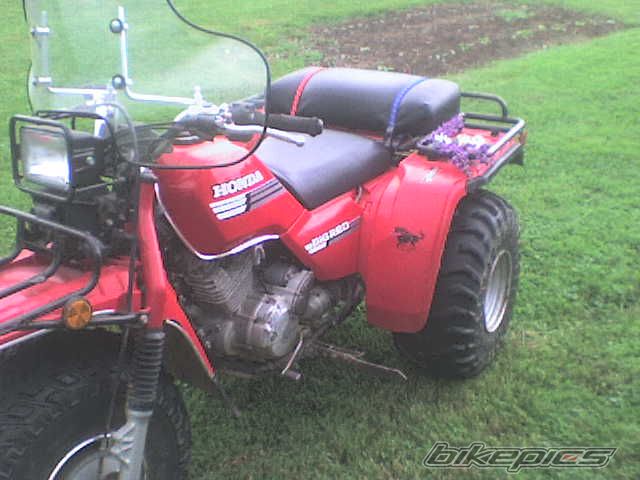 Photo 1561627