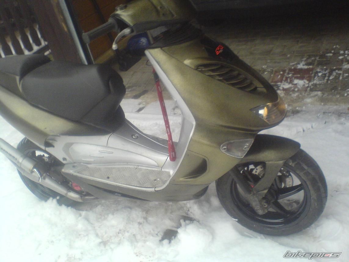 Photo 1561638