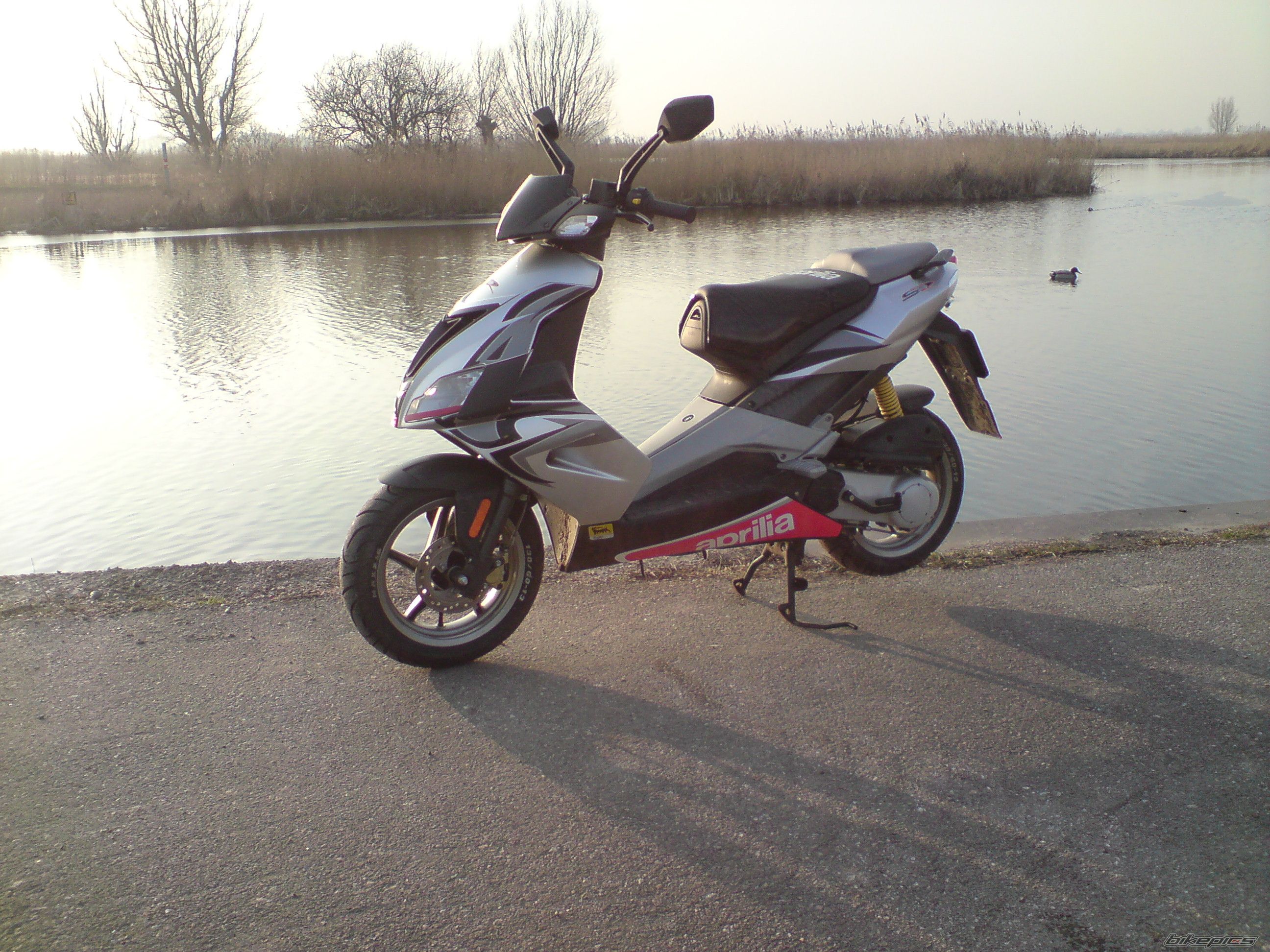 Photo 1561644