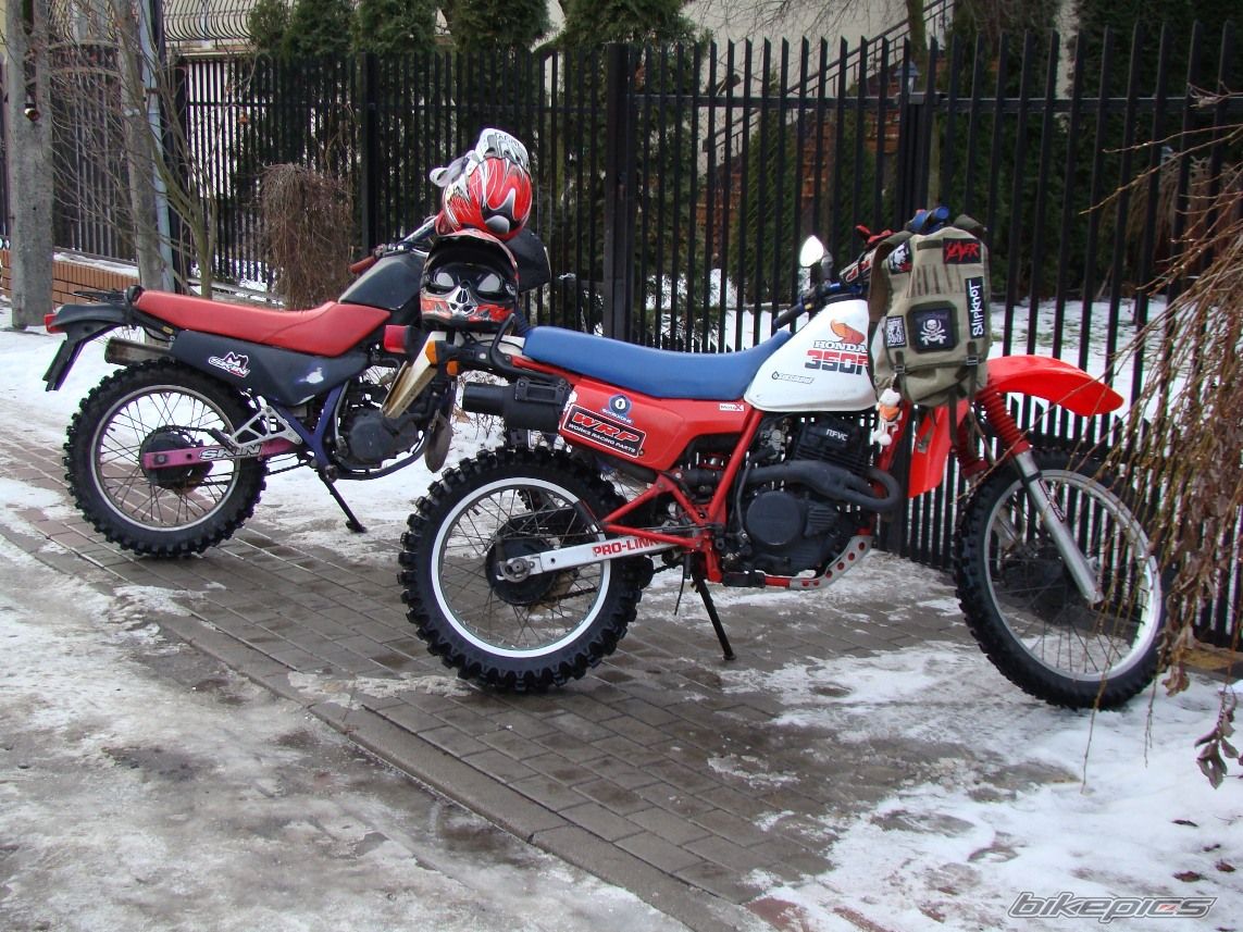 Photo 1561658