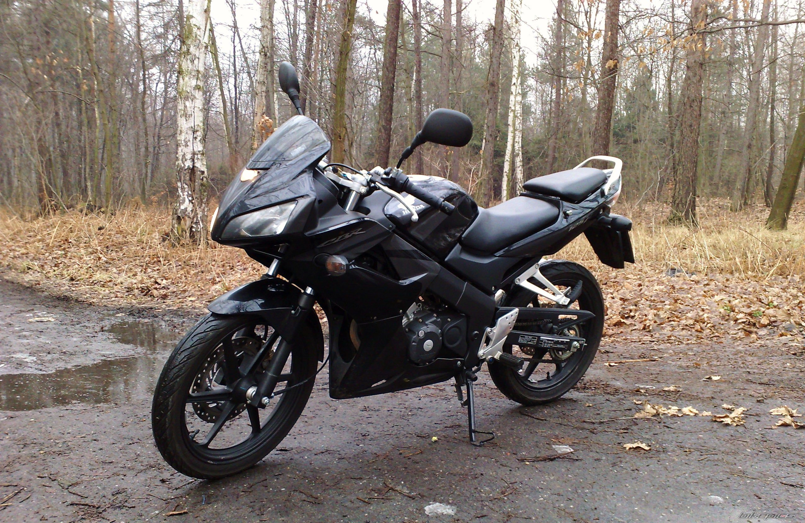 Photo 1561660