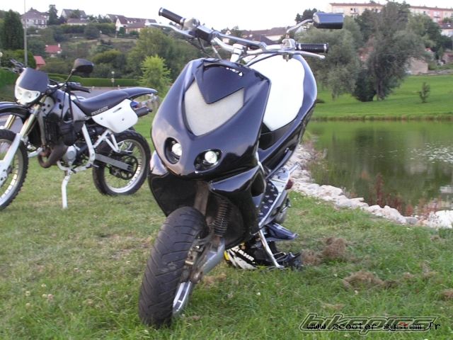 Photo 1561693