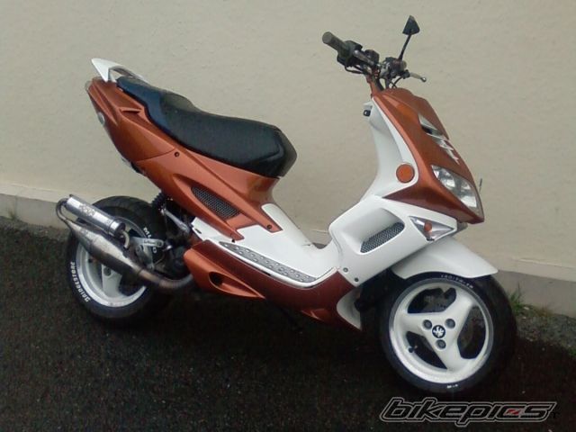 Photo 1561702