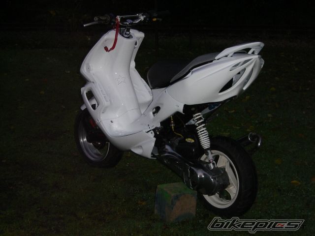 Photo 1561706