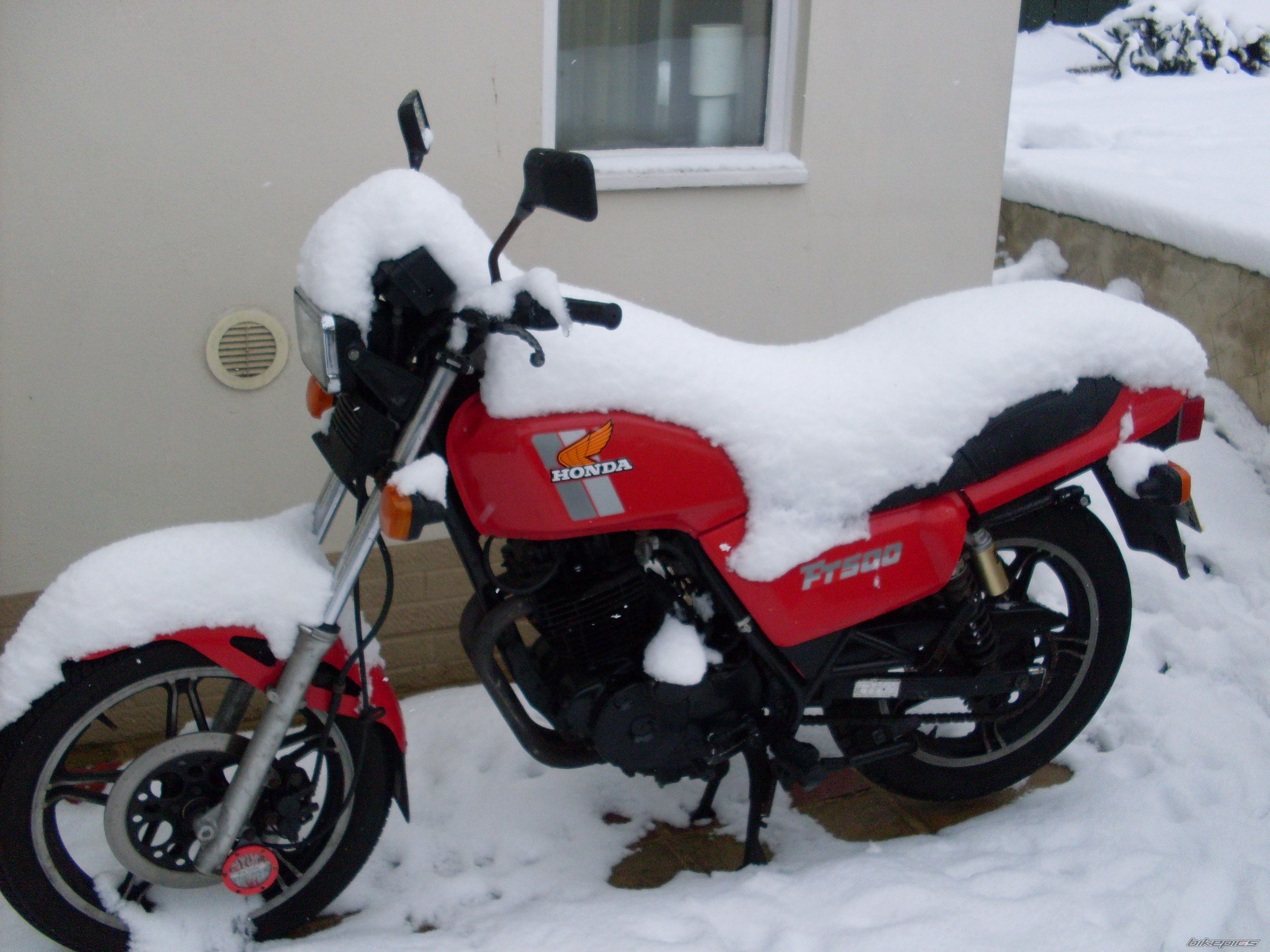 Photo 1561761