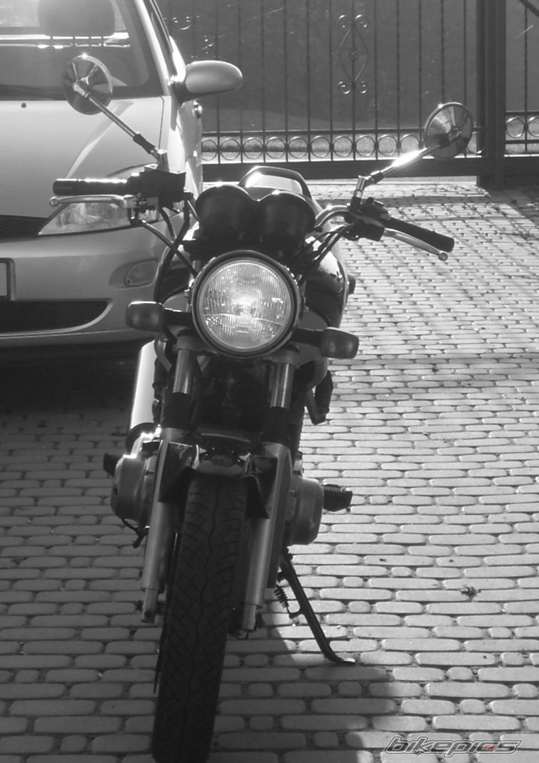 Photo 1561769