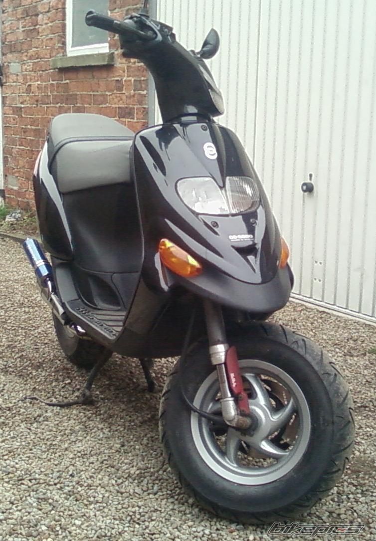 Photo 1561771