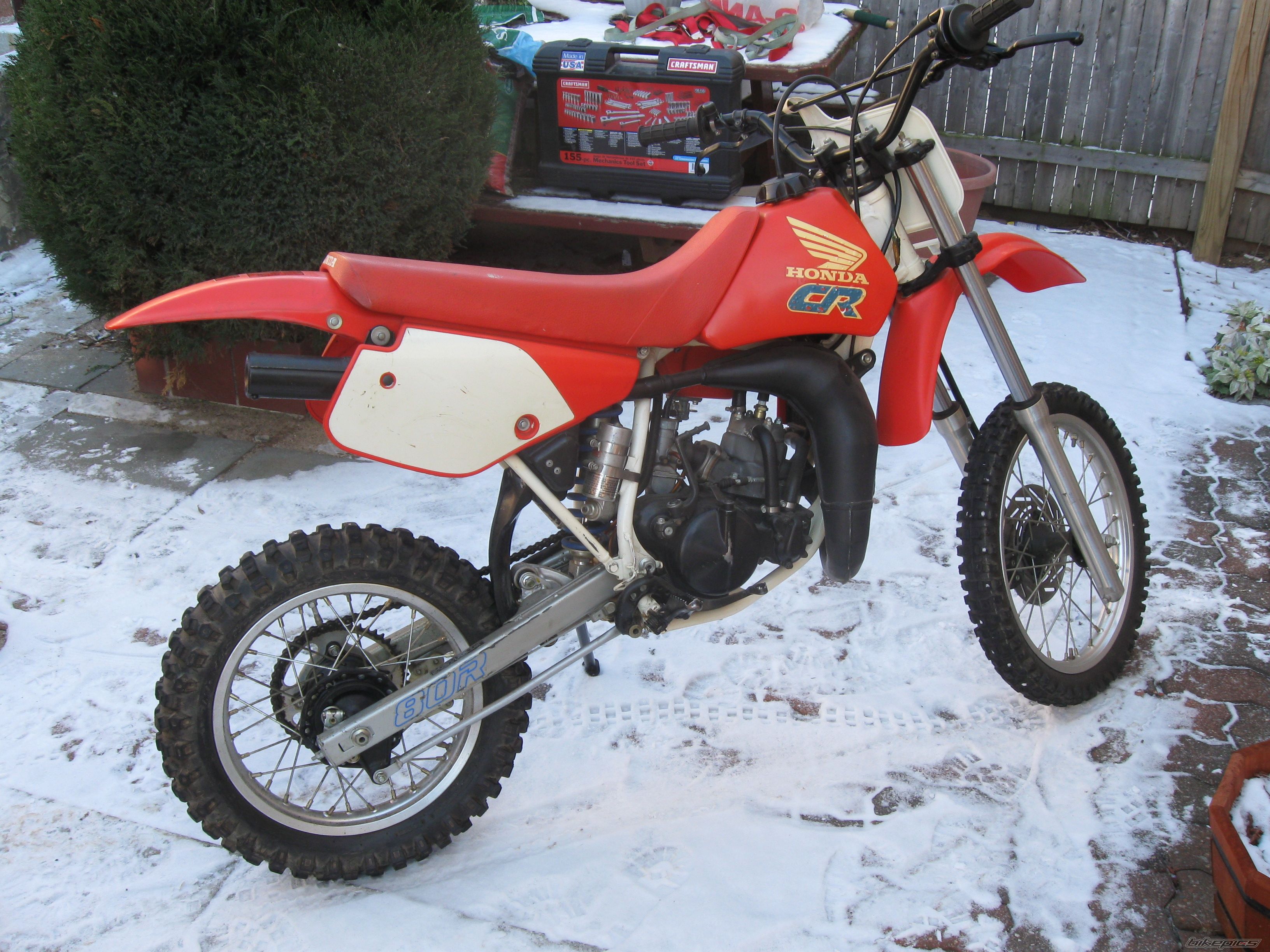 Photo 1561798