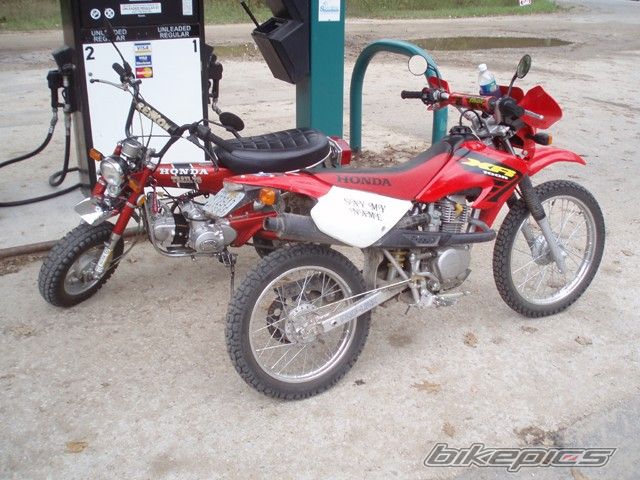 Photo 1561812