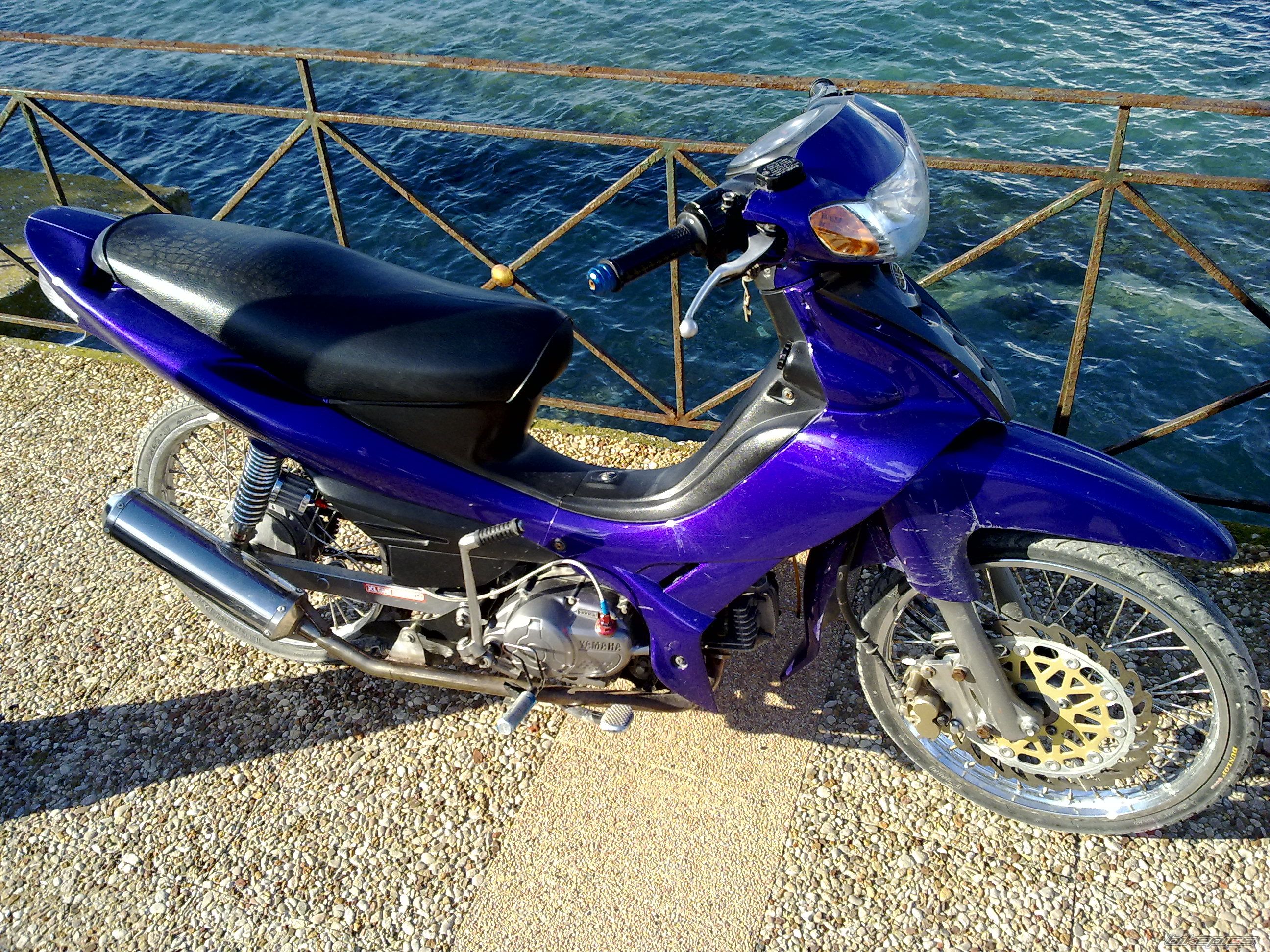 Photo 1561813