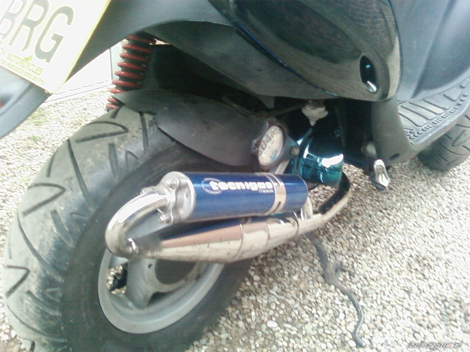 Photo 1561818