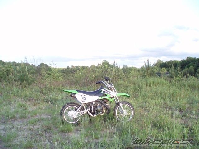 Photo 1561840