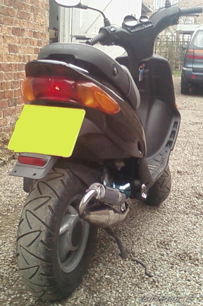 Photo 1561841