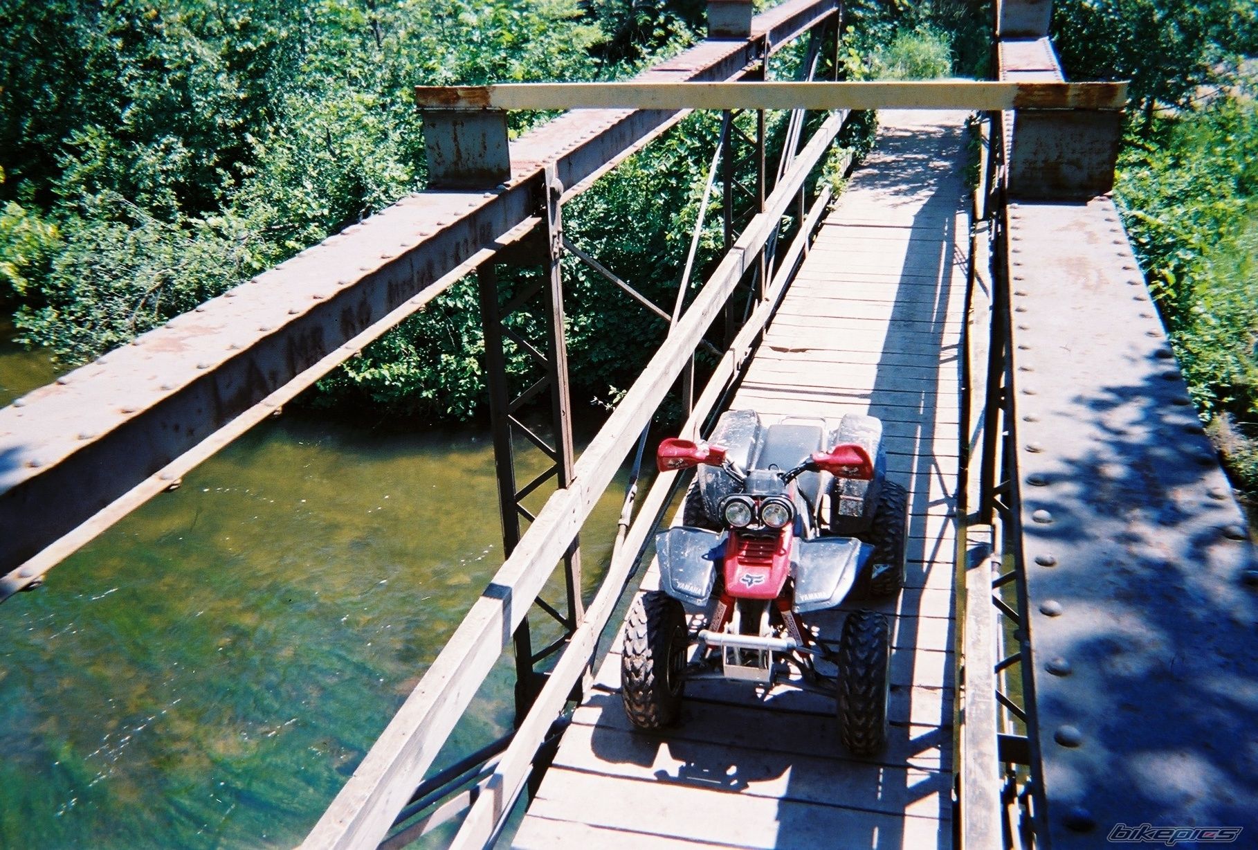 Photo 1561854