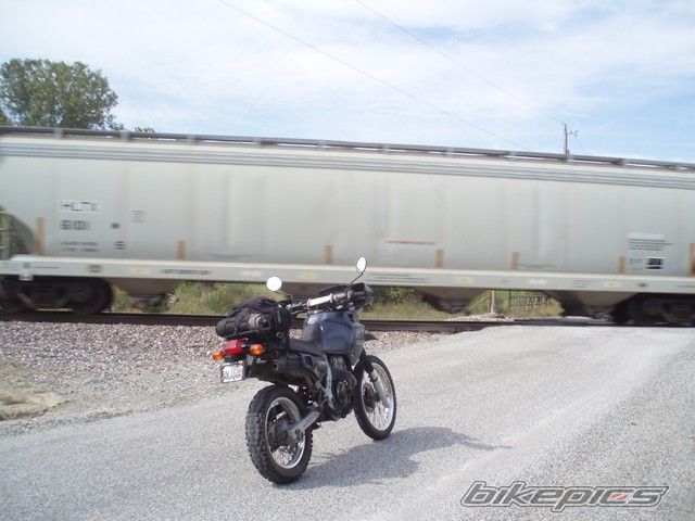 Photo 1561866