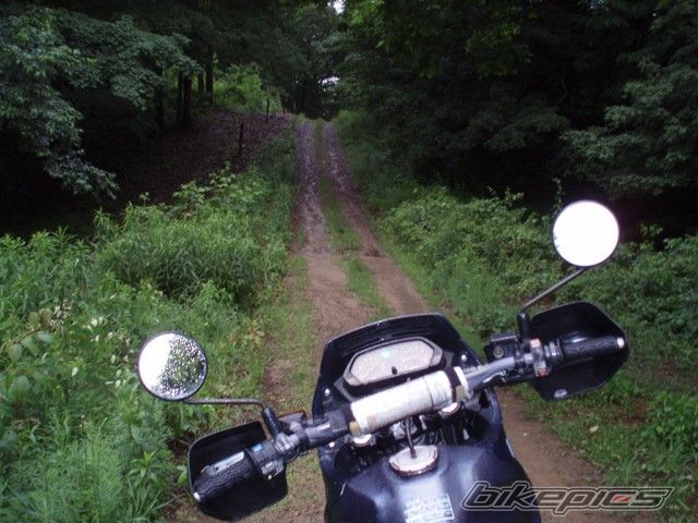 Photo 1561867