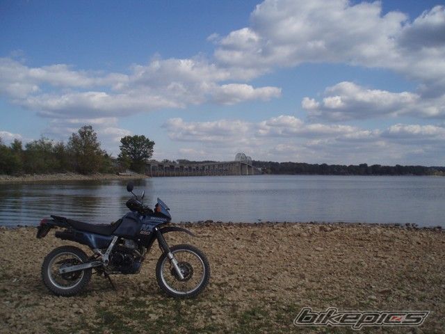 Photo 1561869