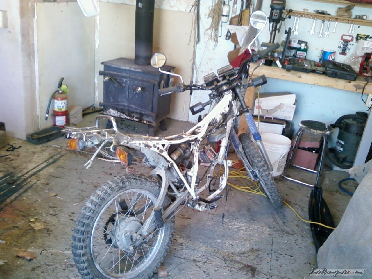 Photo 1561871
