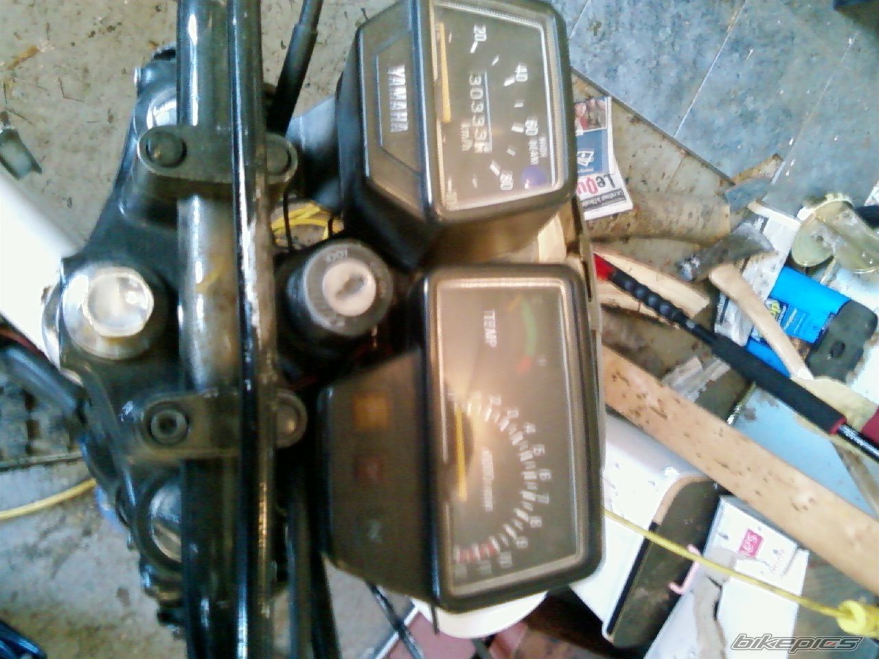 Photo 1561873