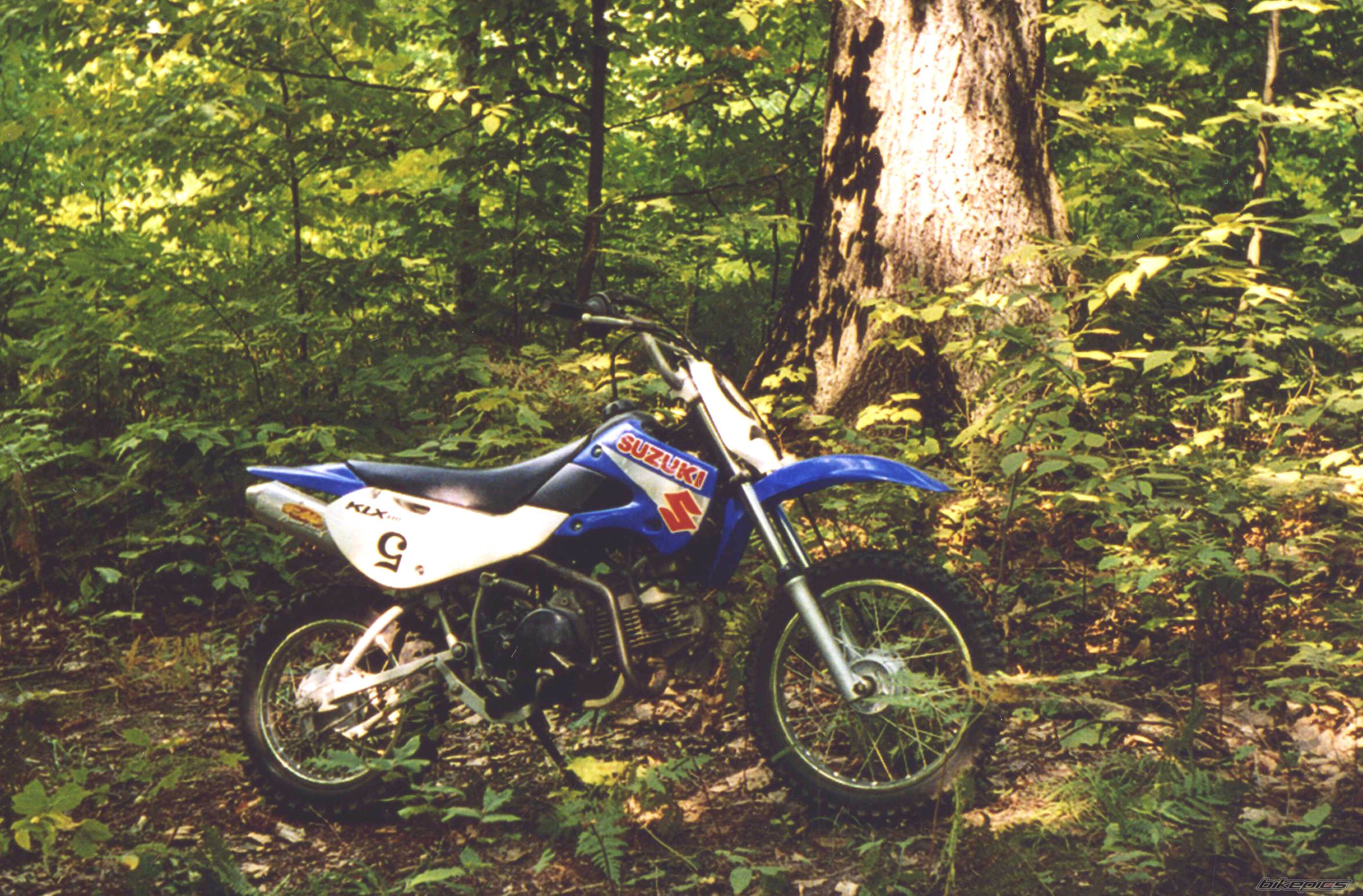 Photo 1561875