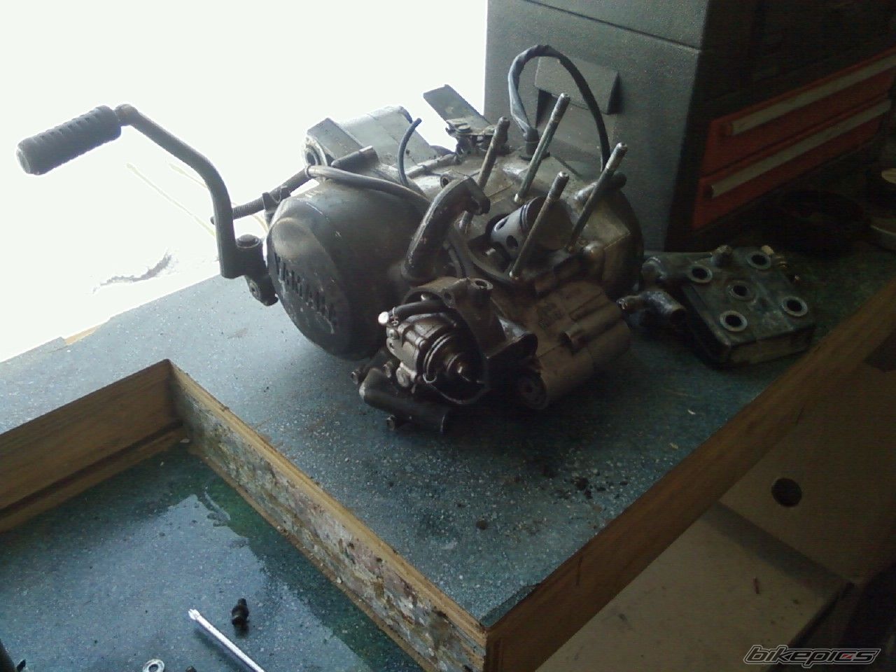 Photo 1561877