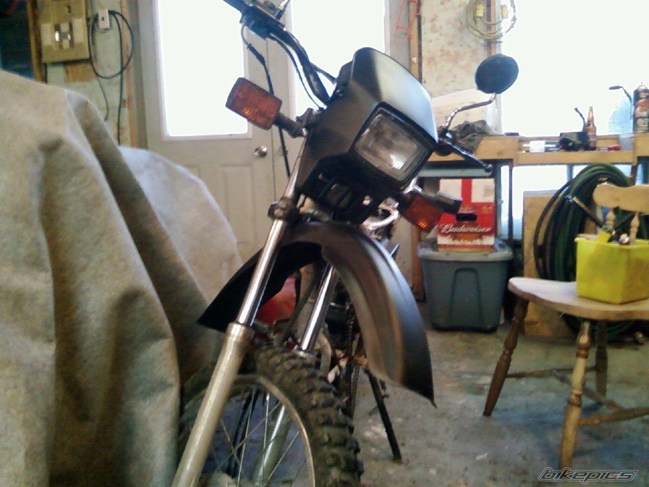 Photo 1561880