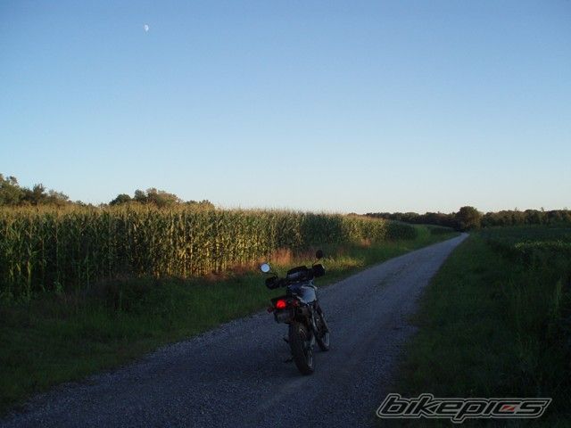 Bike Photo 1561881