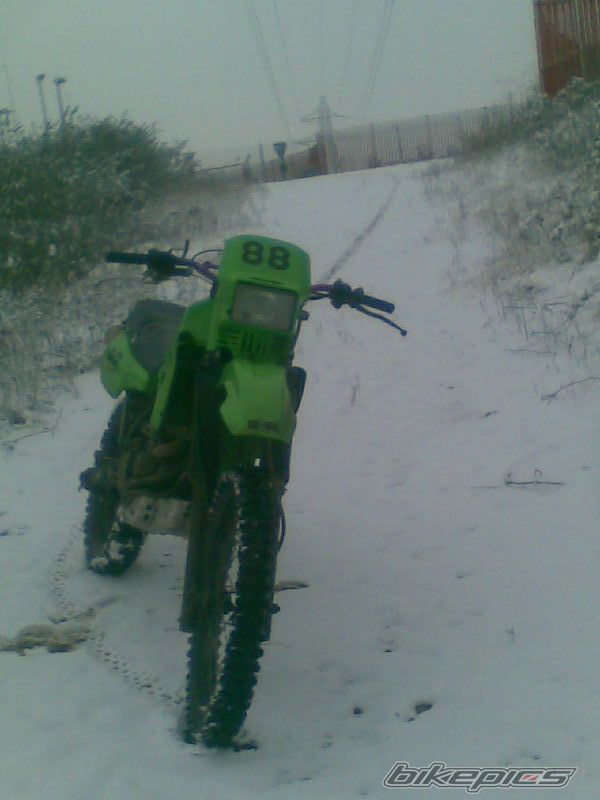 Photo 1561910