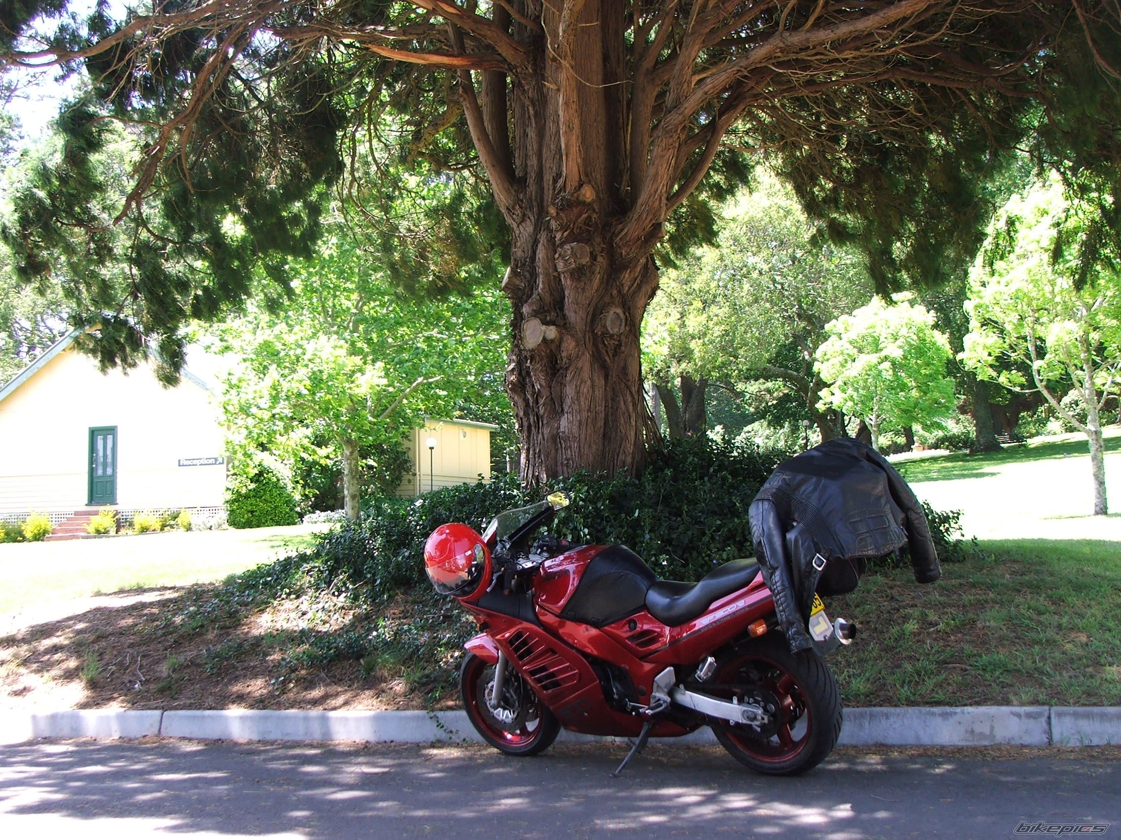 Bike Photo 1562022