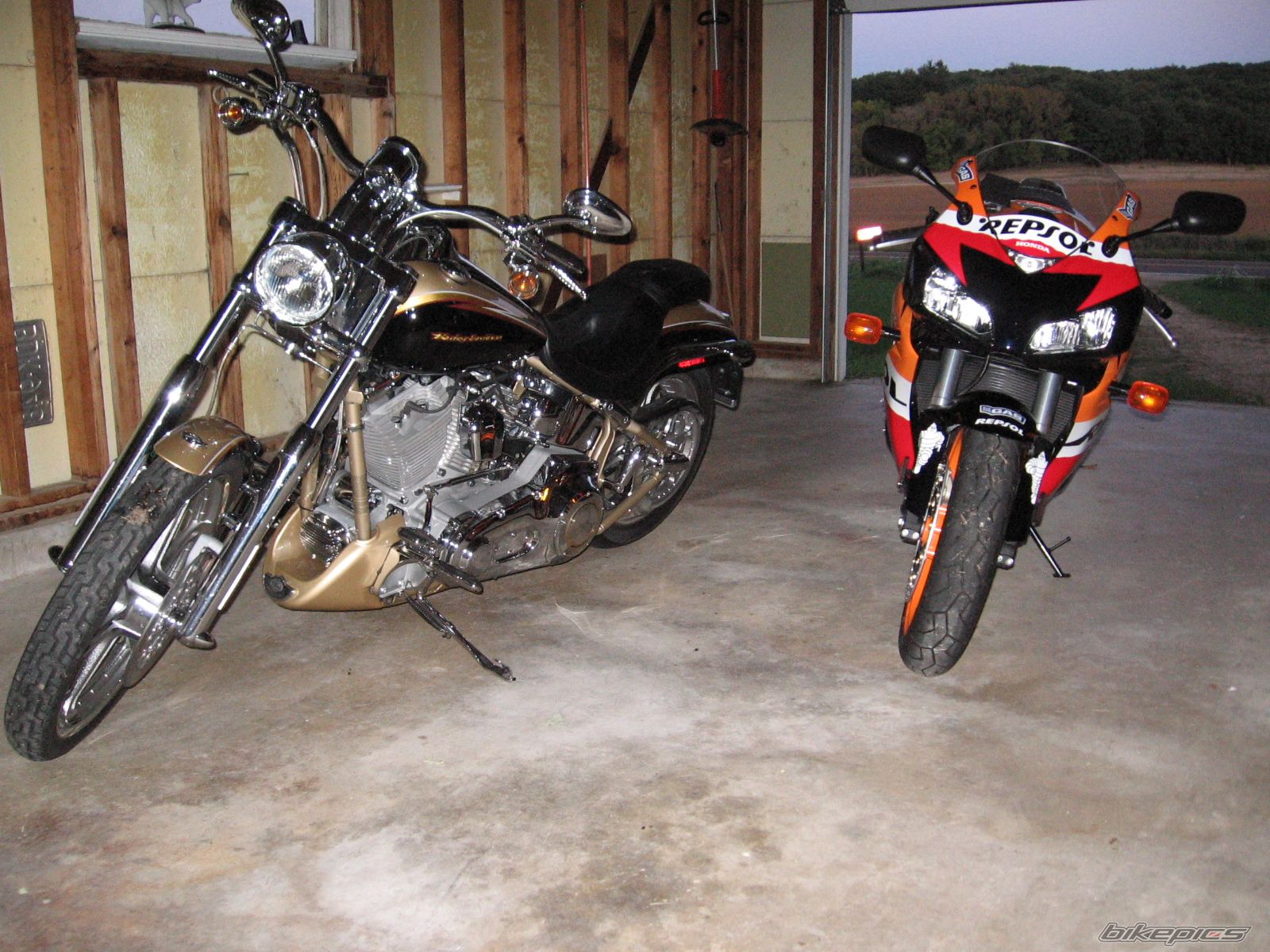 Photo 1562029