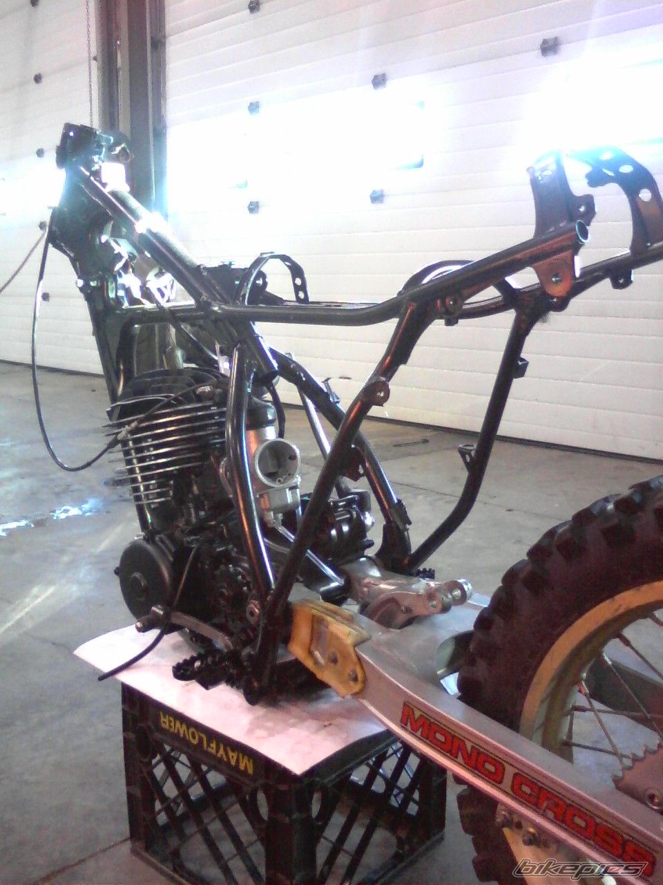 Photo 1562117